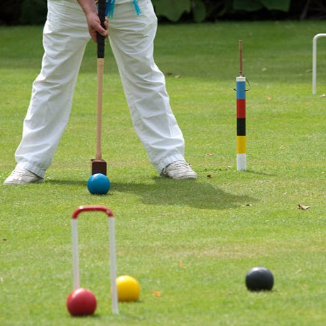 Croquet Example